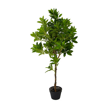 Искусственные растения Дерево счастья 0х0х165 см Темно-зеленый