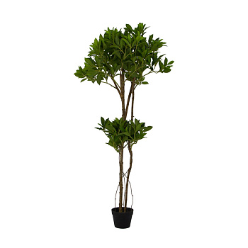 Искусственные растения Дерево счастья две кроны 0х0х160 см Темно-зеленый